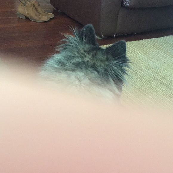 Meet your Posher, Kaleb - Picture 1 of 1